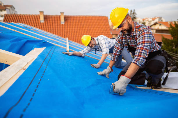 Best Roof Leak Repair  in Chillicothe, MO