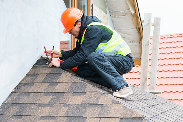 Best Roof Gutter Cleaning  in Chillicothe, MO