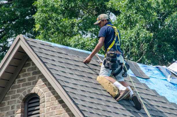 Best Roof Restoration Services  in Chillicothe, MO